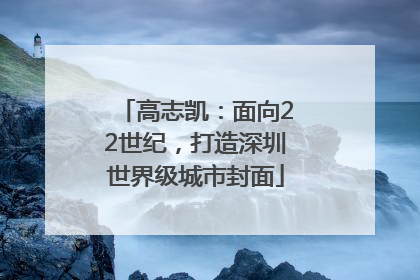 高志凯：面向22世纪，打造深圳世界级城市封面